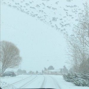 Meet your Posher, Hallie